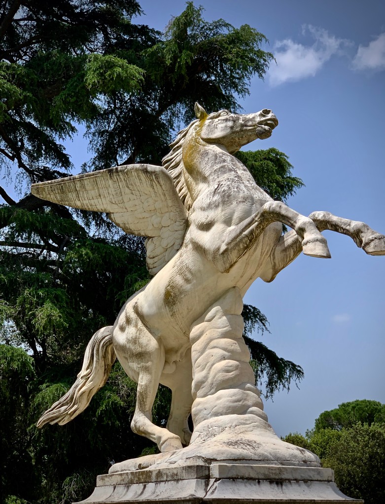 Pégase Lumières des étoiles